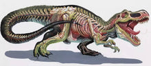 Load image into Gallery viewer, Nychos “Translucent Rex”
