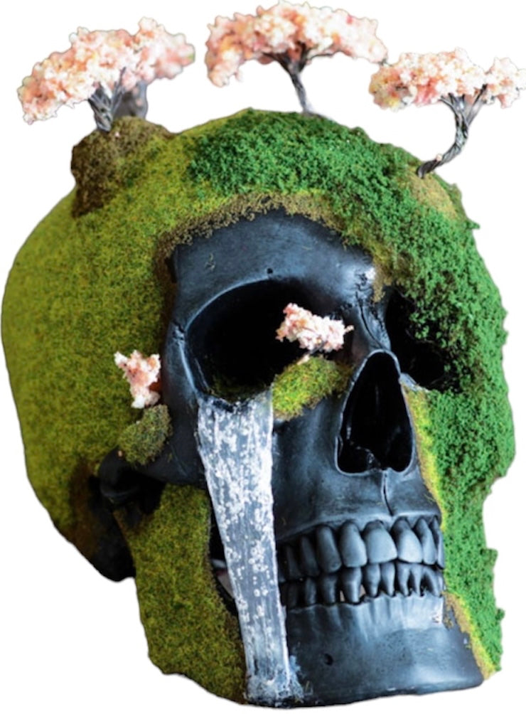 Jack Of The Dust “Cherry Blossom Bonsai Skull”