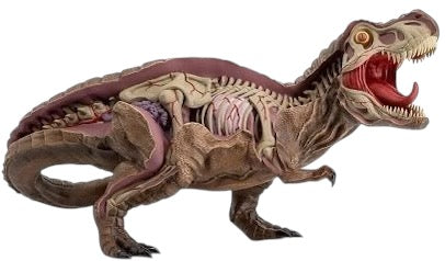 Nychos x Jurassic Park “Dissected T-Rex”
