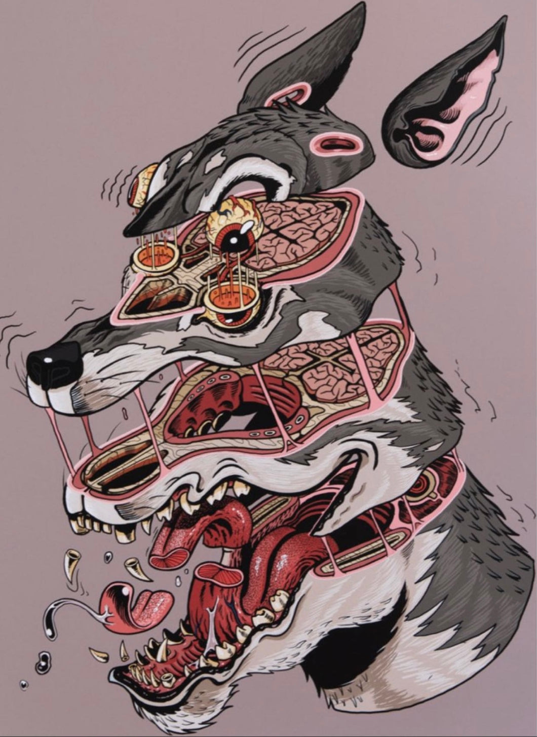 Nychos “Wolf Head Cross Section”