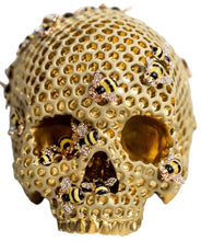 Load image into Gallery viewer, Jack Of The Dust “Killa Beez Skull”
