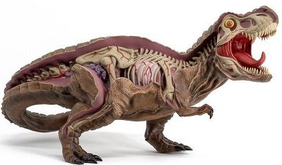 Nychos x Jurassic Park “Dissected T-Rex”