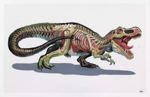 Load image into Gallery viewer, Nychos “Translucent Rex”
