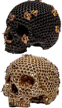 Load image into Gallery viewer, Jack Of The Dust “Killa Beez Skull”
