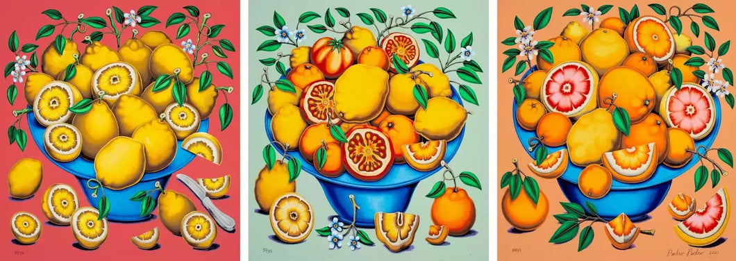 Pedro Pedro “Bowls With Citrus, Flowers & Sliced Tomatoes”